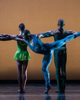 Dance Me The Music of Leonard